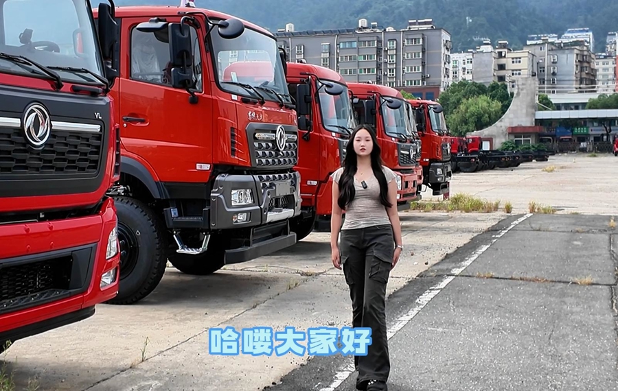 东风天龙290马力6×4随车吊专用底盘